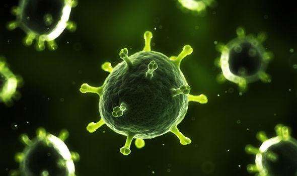 末世丧尸图景（一）