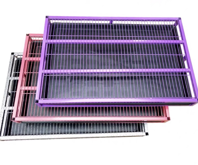 怎样教小狗定点大小便