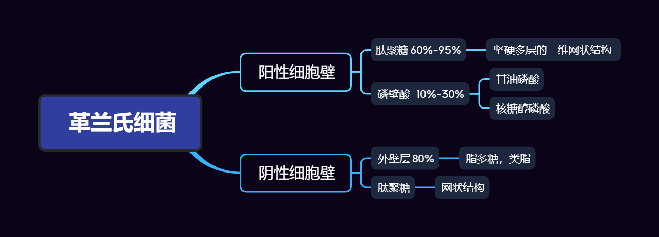 原核微生物细菌细胞结构的思维导图