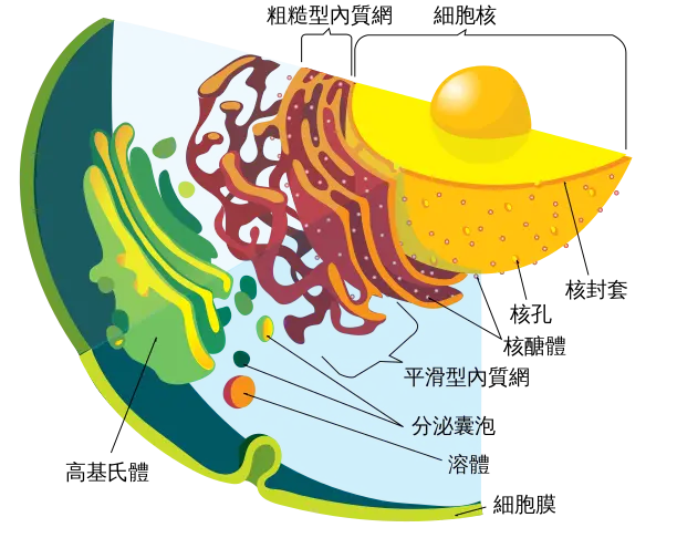 歷代地球生物滅絕事件 01 偉大氧化事件 2400 Mya 哔哩哔哩