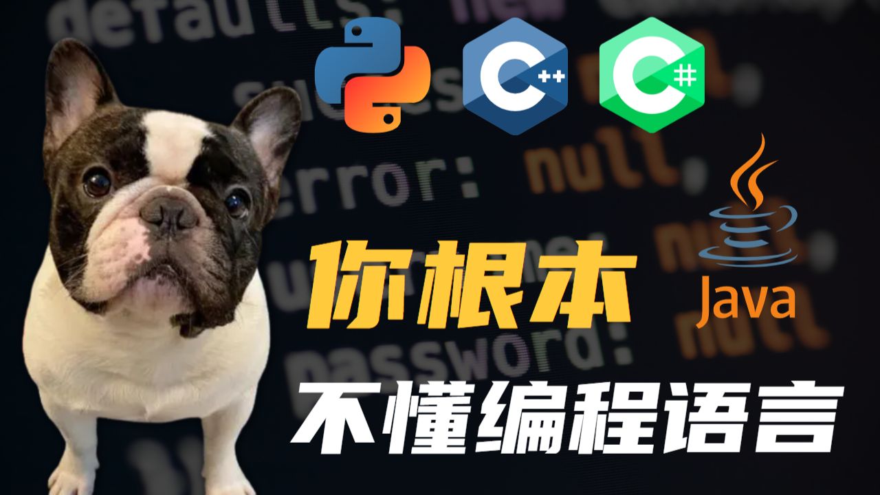 C c java python 