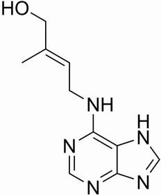 分解者怎么画图片