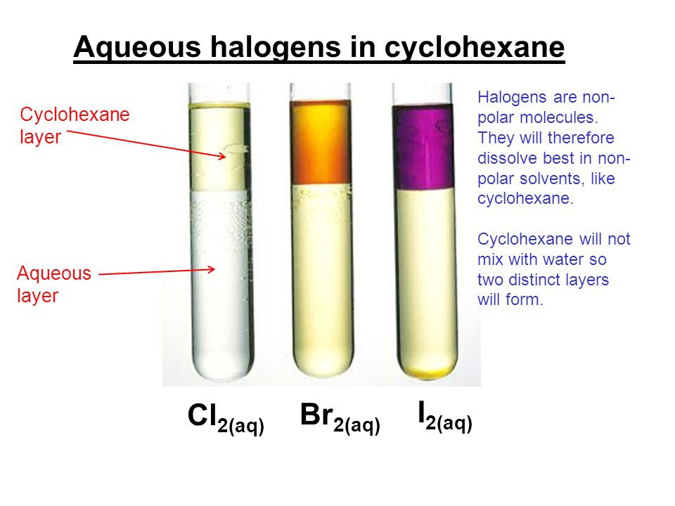 [你问我答] AS化学 一道用cyclohexane萃取Br₂的问题 哔哩哔哩