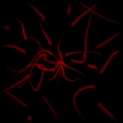 406_406gif 动态图 动图