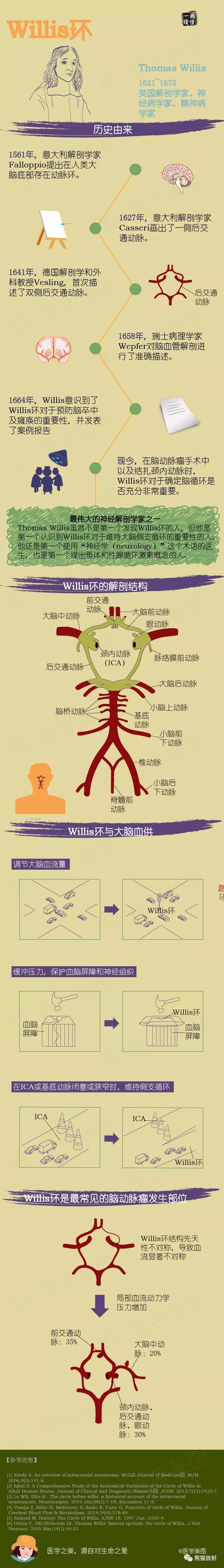 Willis环丨超细解剖 超全变异 哔哩哔哩