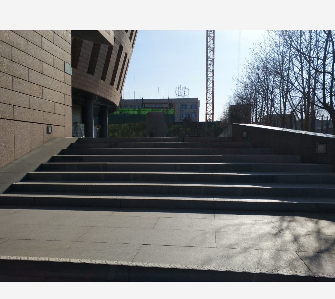 过气阿婆考试周诈尸事件