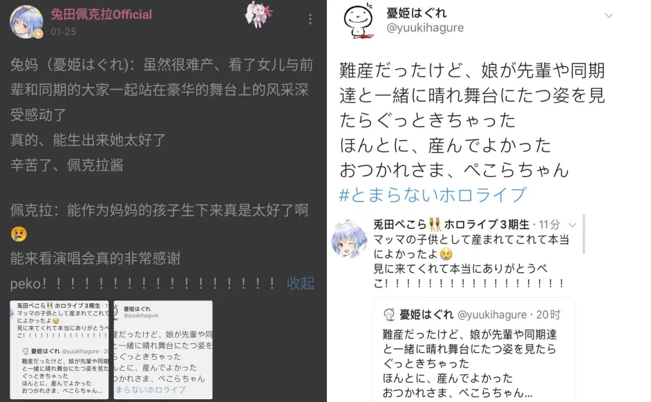 祭典 兔田佩克拉一周年特别篇 哔哩哔哩 祭典 兔田佩克拉一周年特别篇 哔哩哔哩