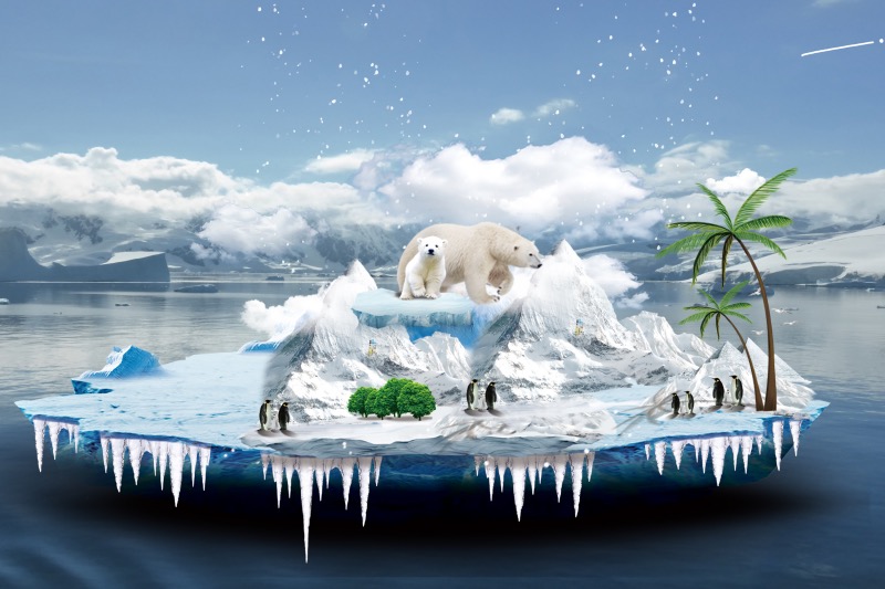 climate partner专访fond of:时尚与可持续发展