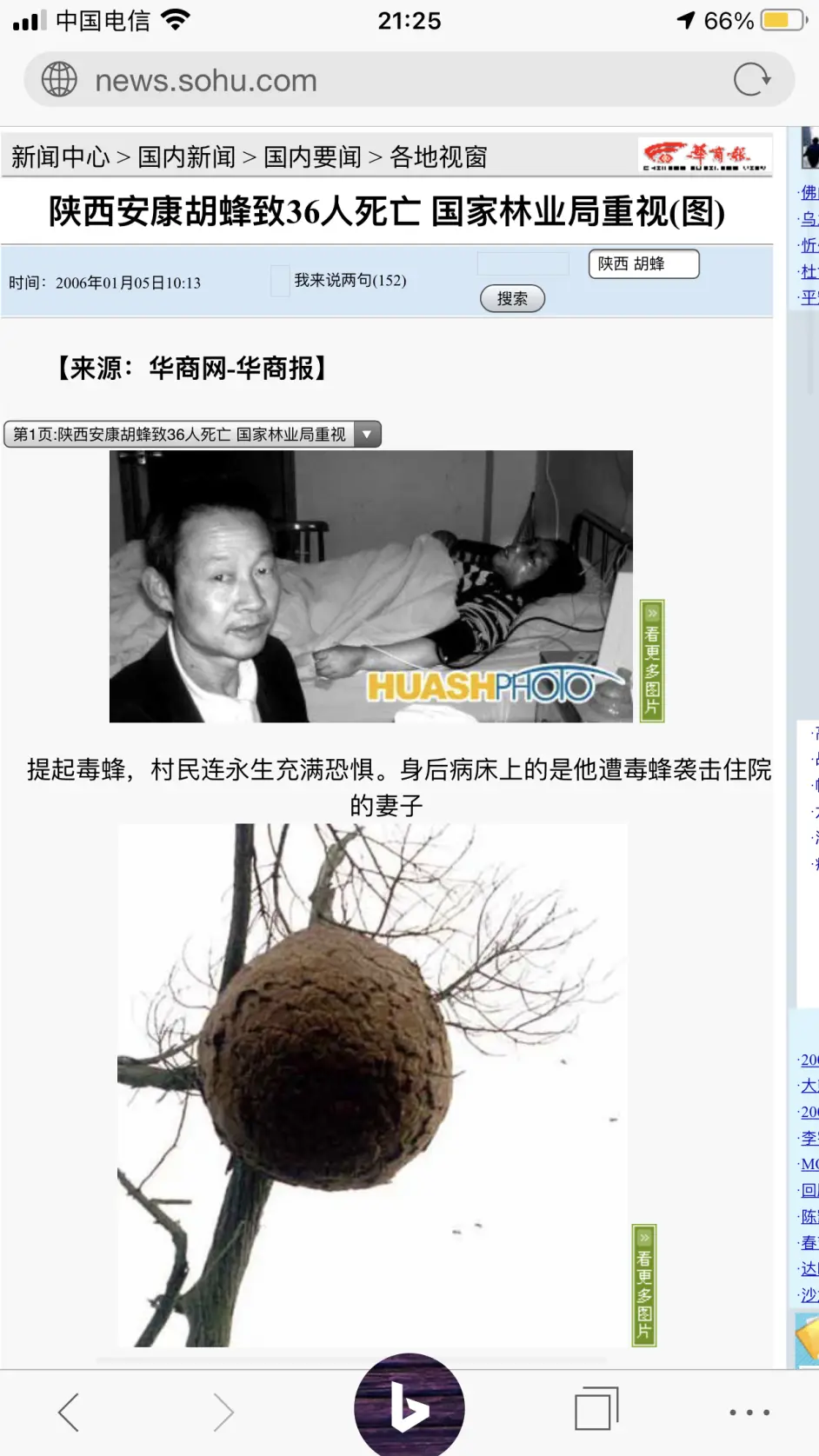 关于部分蜂类易混淆名字的介绍(1) - 哔哩哔哩