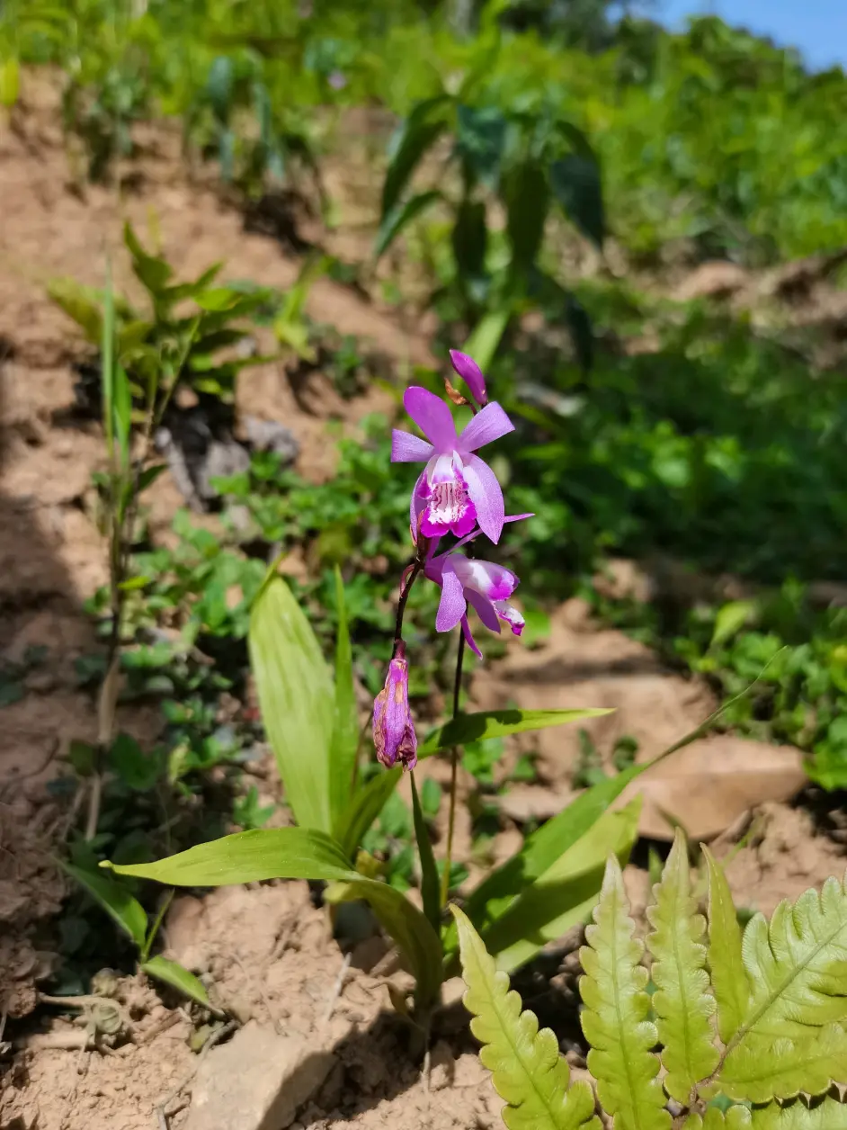 21 05 01 第二公墓 午潮亭 哔哩哔哩