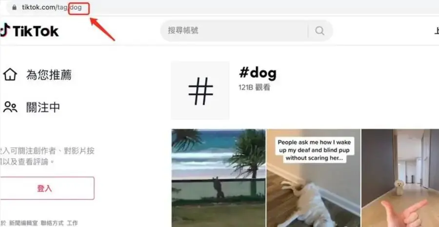 Tiktok最全运营工具大杂烩 哔哩哔哩