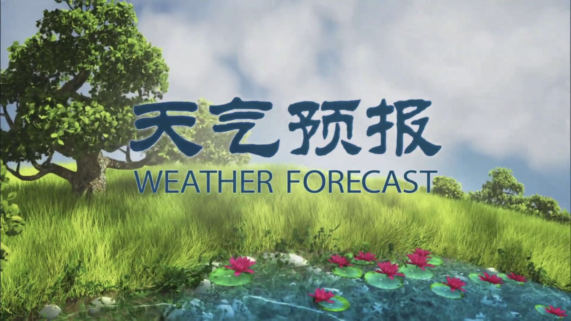 2020年7月18日《天气预报》节目演播室截图:杨丹真的是不老女神啊!