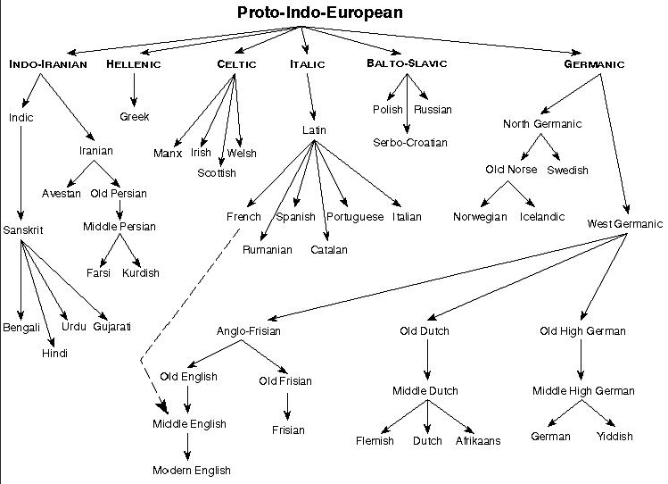 印欧语系图谱图片