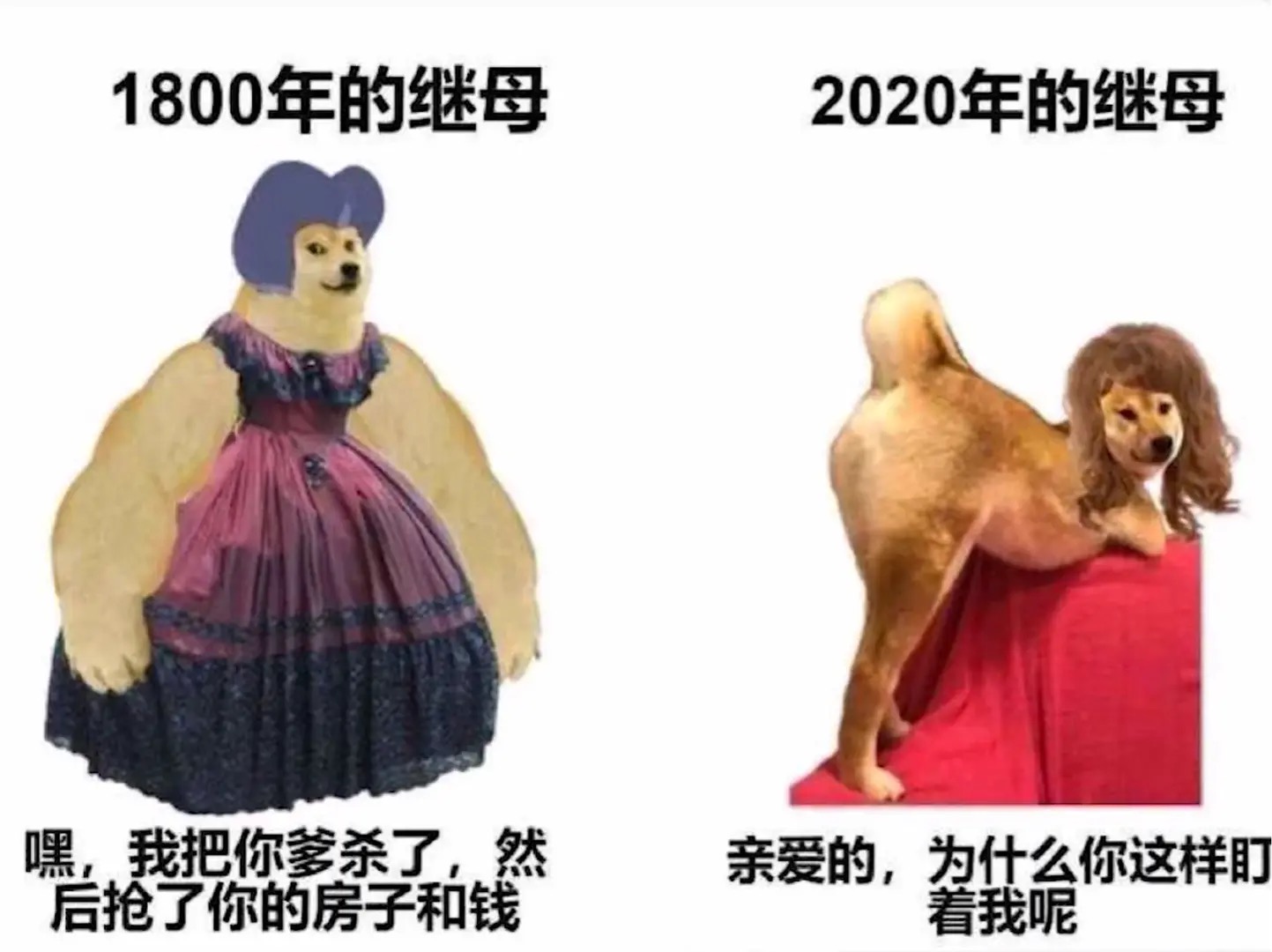 cheems/doge合集【2】|正常人用的表情包(含对比图) - 哔哩哔哩
