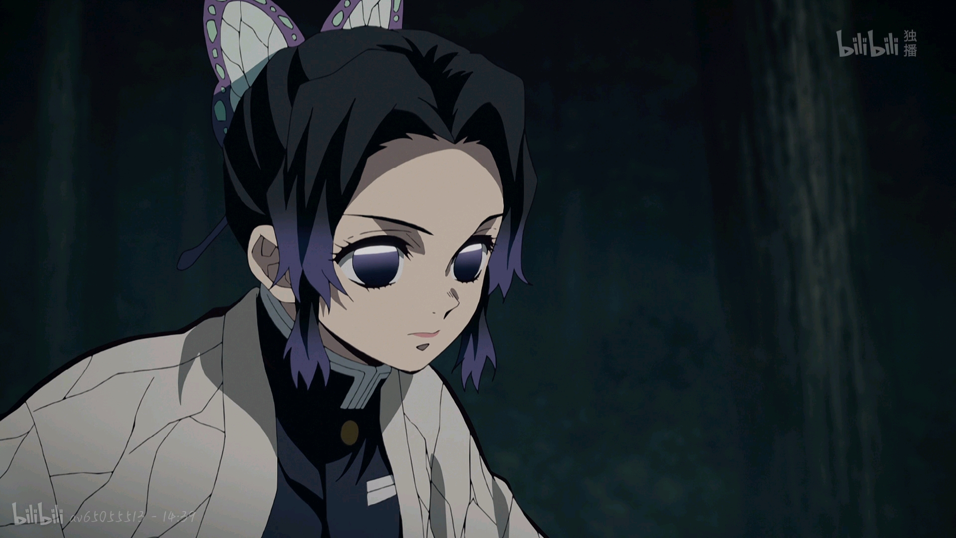 鬼灭之刃~蝴蝶忍