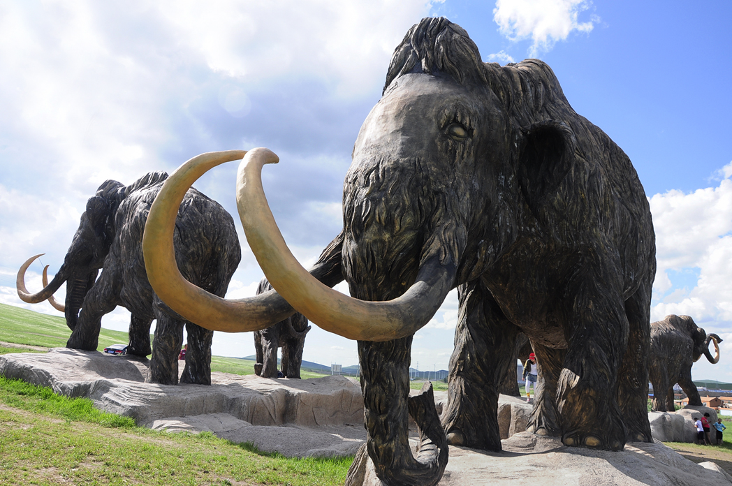 如果一万年前已经灭绝的猛犸象复活了,地球还会和现在一样吗!