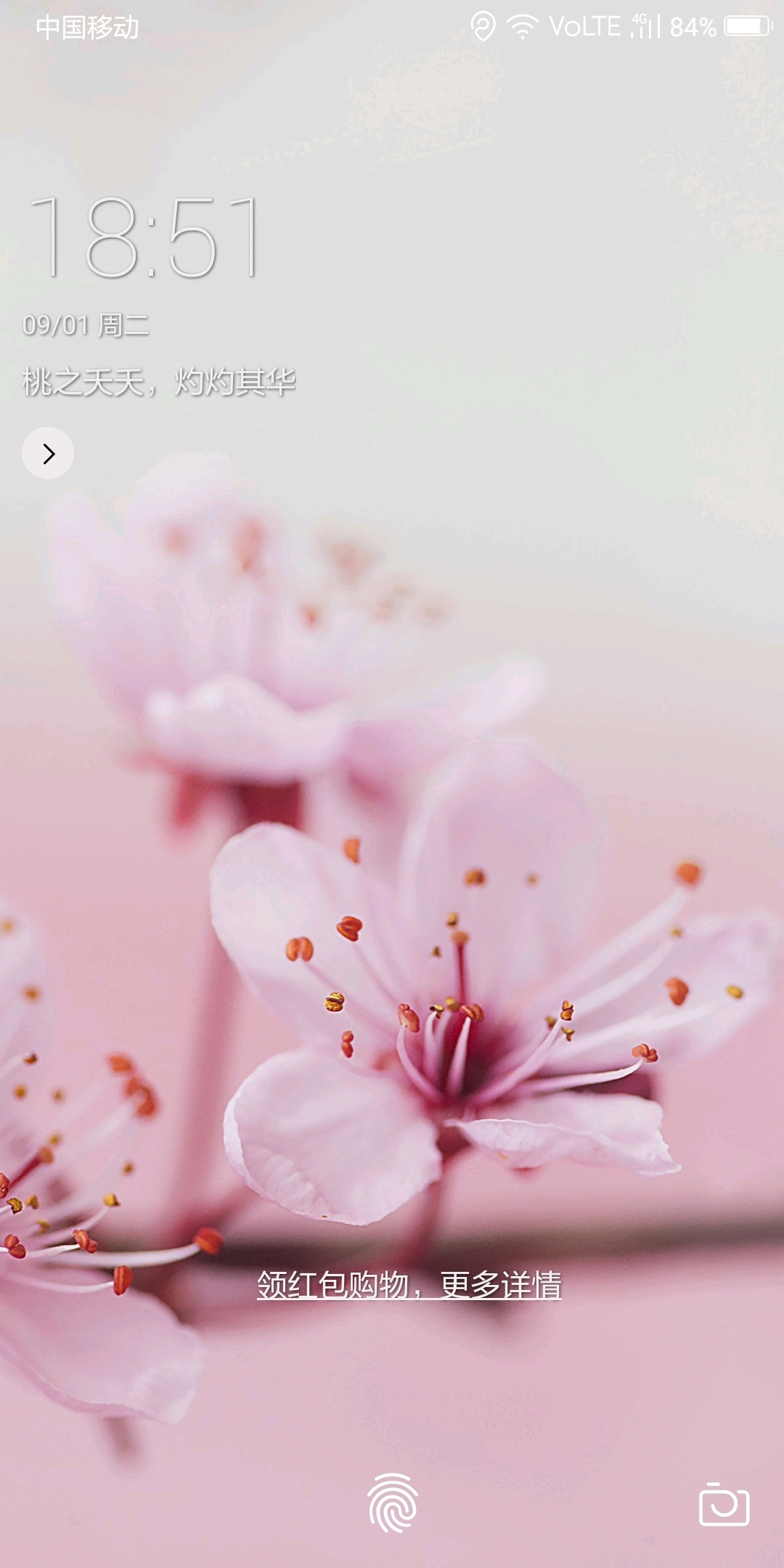 under the sword(刀剑之下) 别名:legends of swords(刀剑传说) 鹅鹅