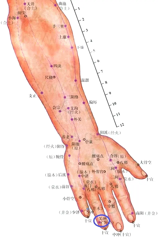 十五、手少阳三焦经（左右四十六穴）