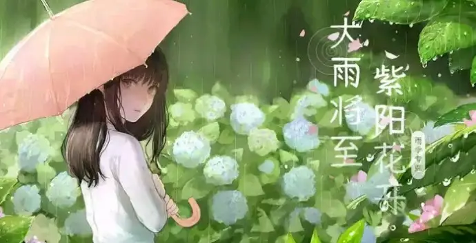 手机壁纸雨季专题大雨将至 紫阳花开 19年3月6日by Gameboy盐泽 哔哩哔哩