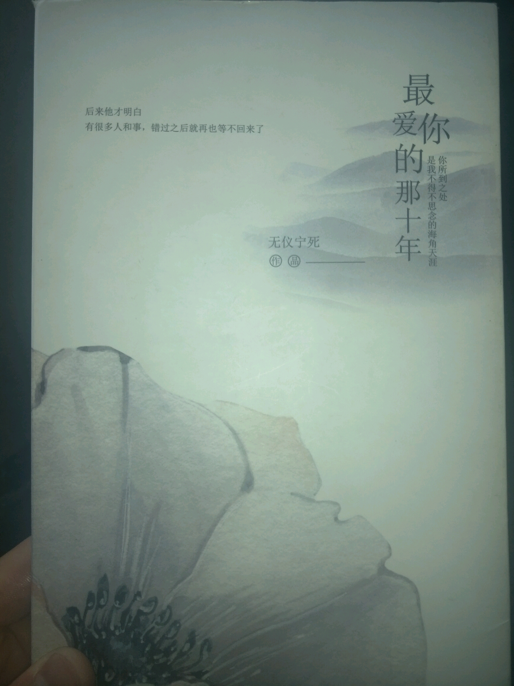 《最爱你的那十年》作者:无仪宁死