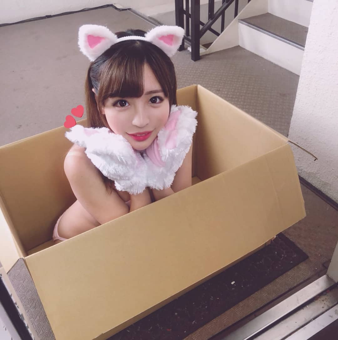 日本暗黑界cup人气排行-本次cup:c(其二)