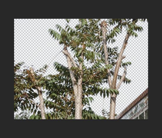 PS进阶抠图:通道混合器抠图