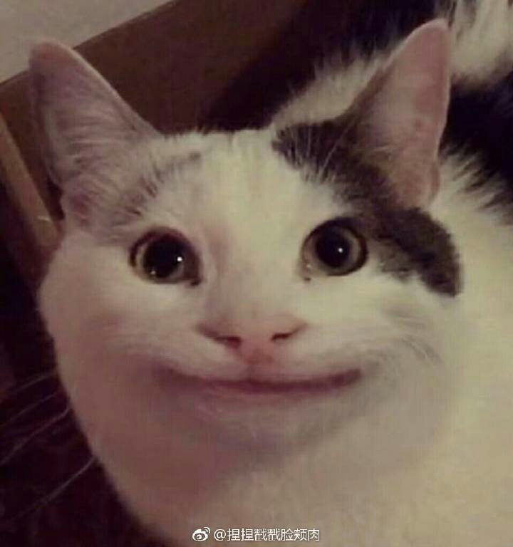 分手之后的你和他(林在范)(角落前传)