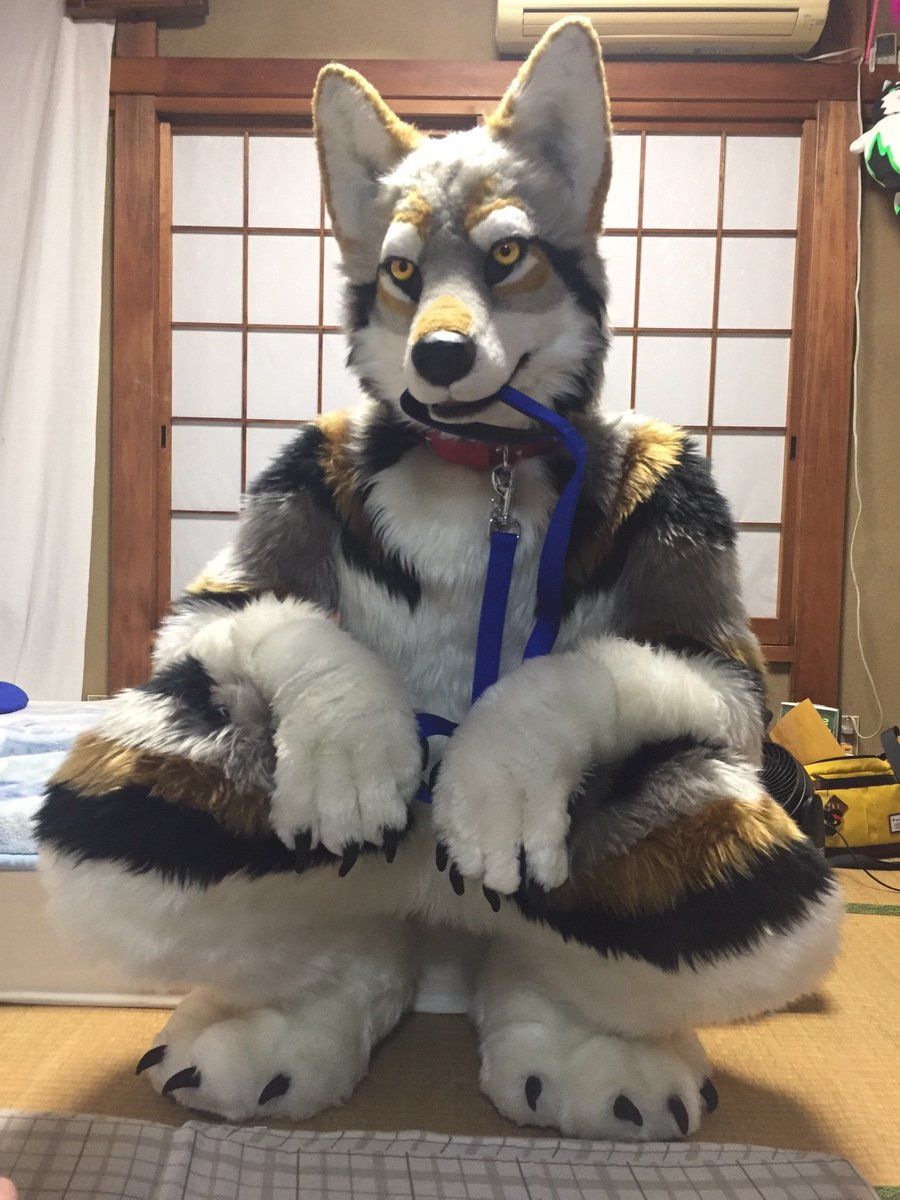 《狼系》图集(一)