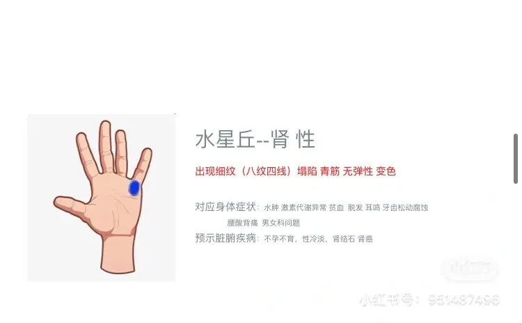 九丘一平原之地丘 哔哩哔哩