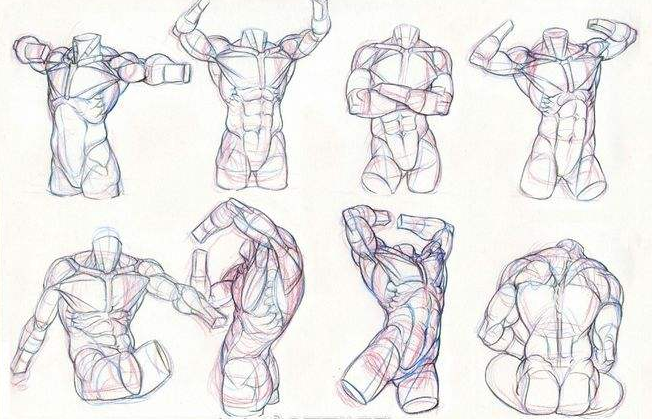 练习人体的深度解析以及练习方案的定制