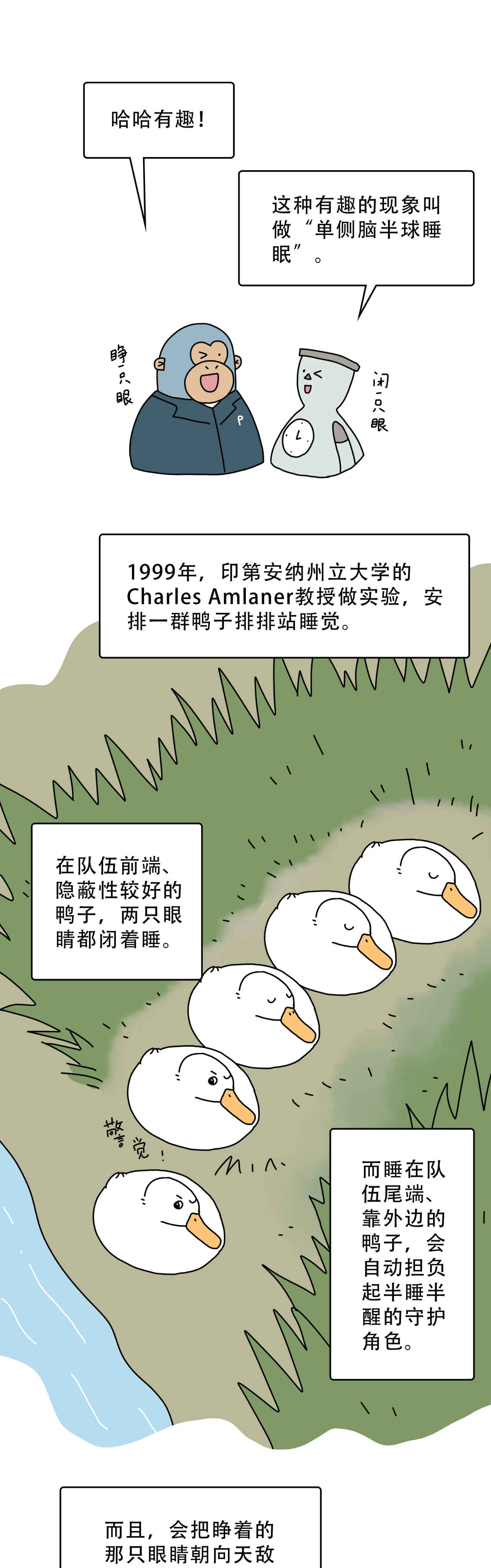 为什么换床你就睡不着了5
