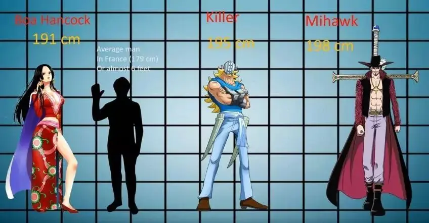 海贼王身高大全 最高与最矮相差10倍 凯多不过是弟弟 哔哩哔哩