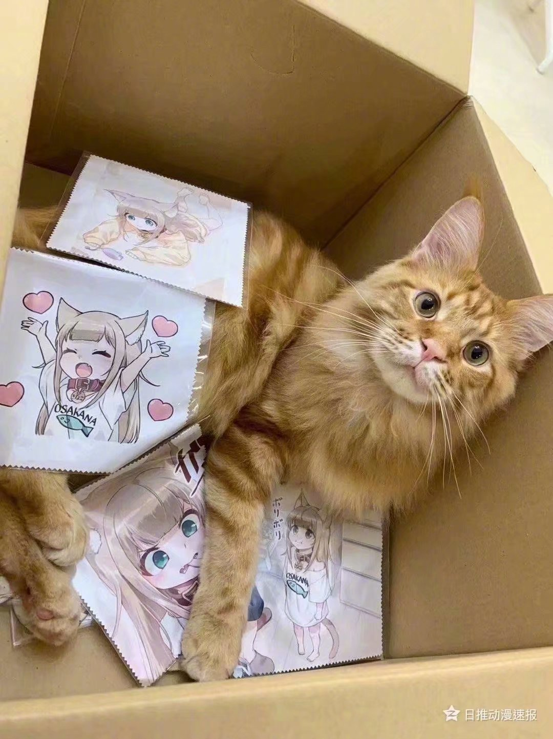 画师收藏馆猫猫拟人系列kinako酱by日本同人画师40原2021年3月20日