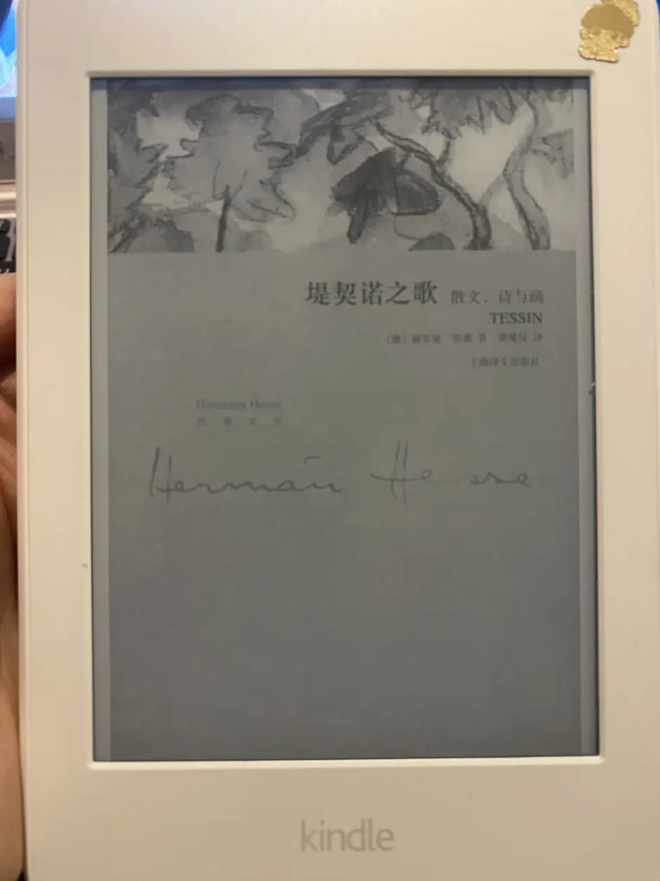 提契诺之歌读后感 哔哩哔哩