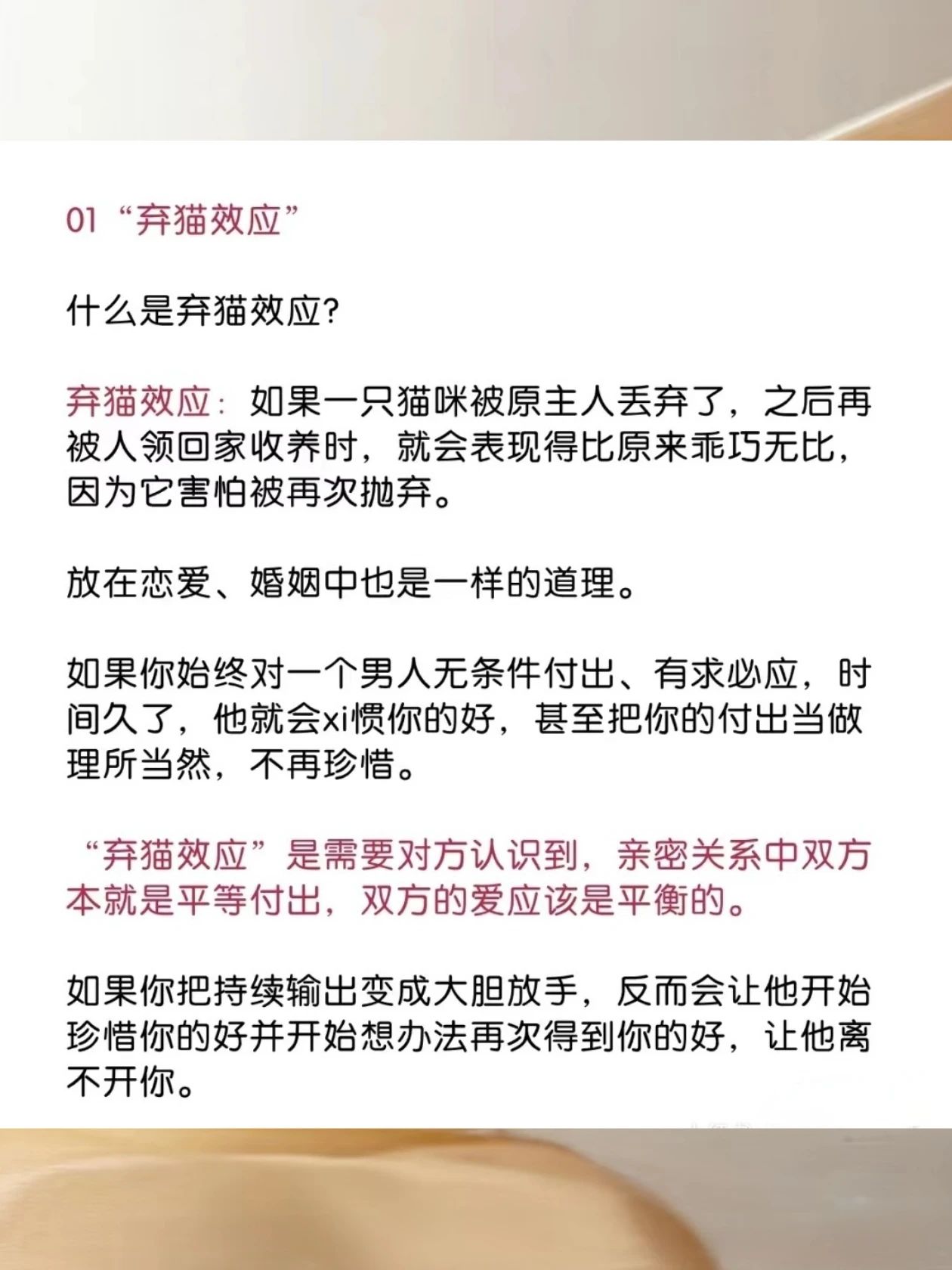 弃猫效应吃定男人原来这么简单2