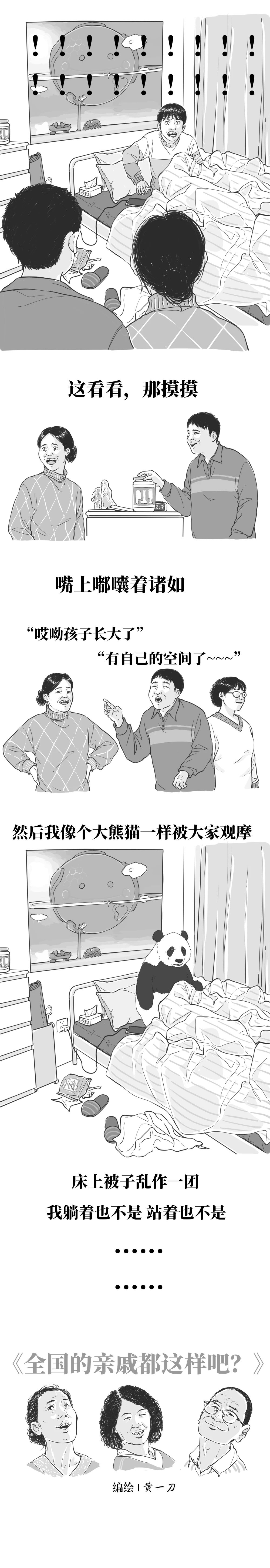 这就是你家的烦人亲戚2