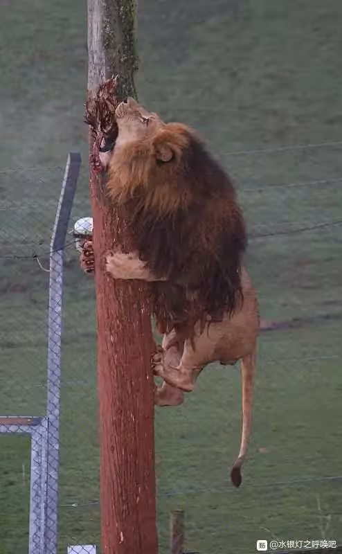 画质不行,勉强看看这话真是