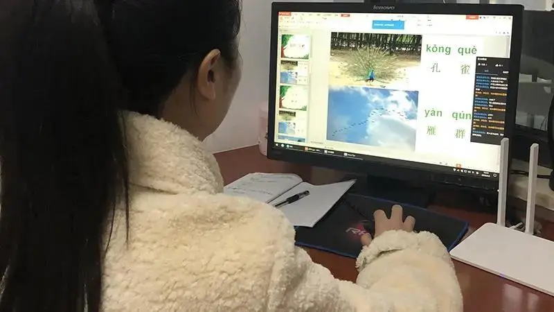 网课自己用电脑怎么刷(网课自己用电脑怎么刷视频呢)