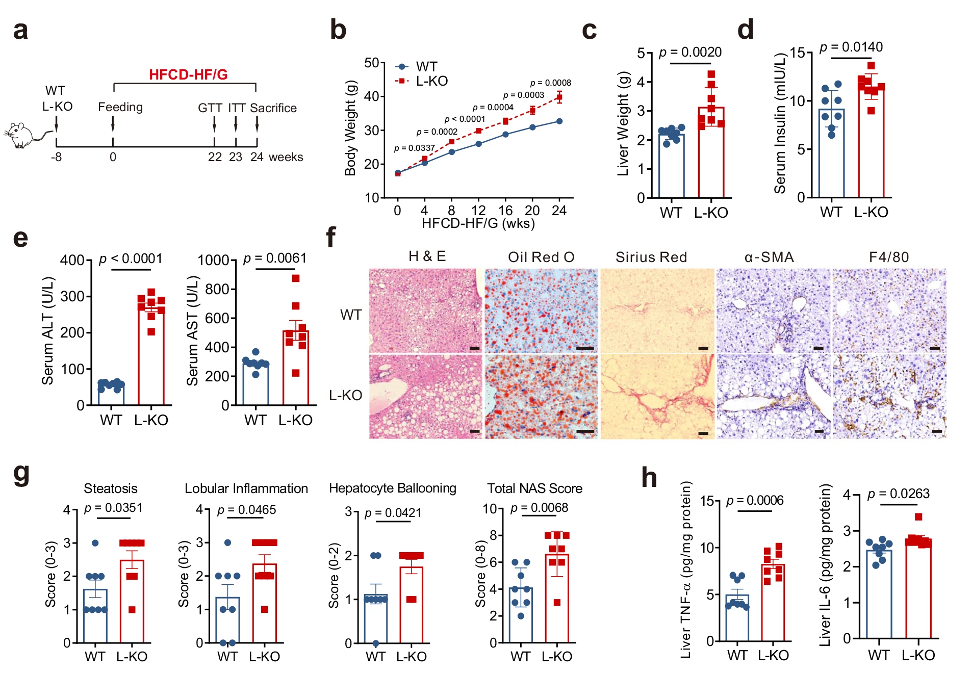  Nat Commun IF 17 69 PCK1 
