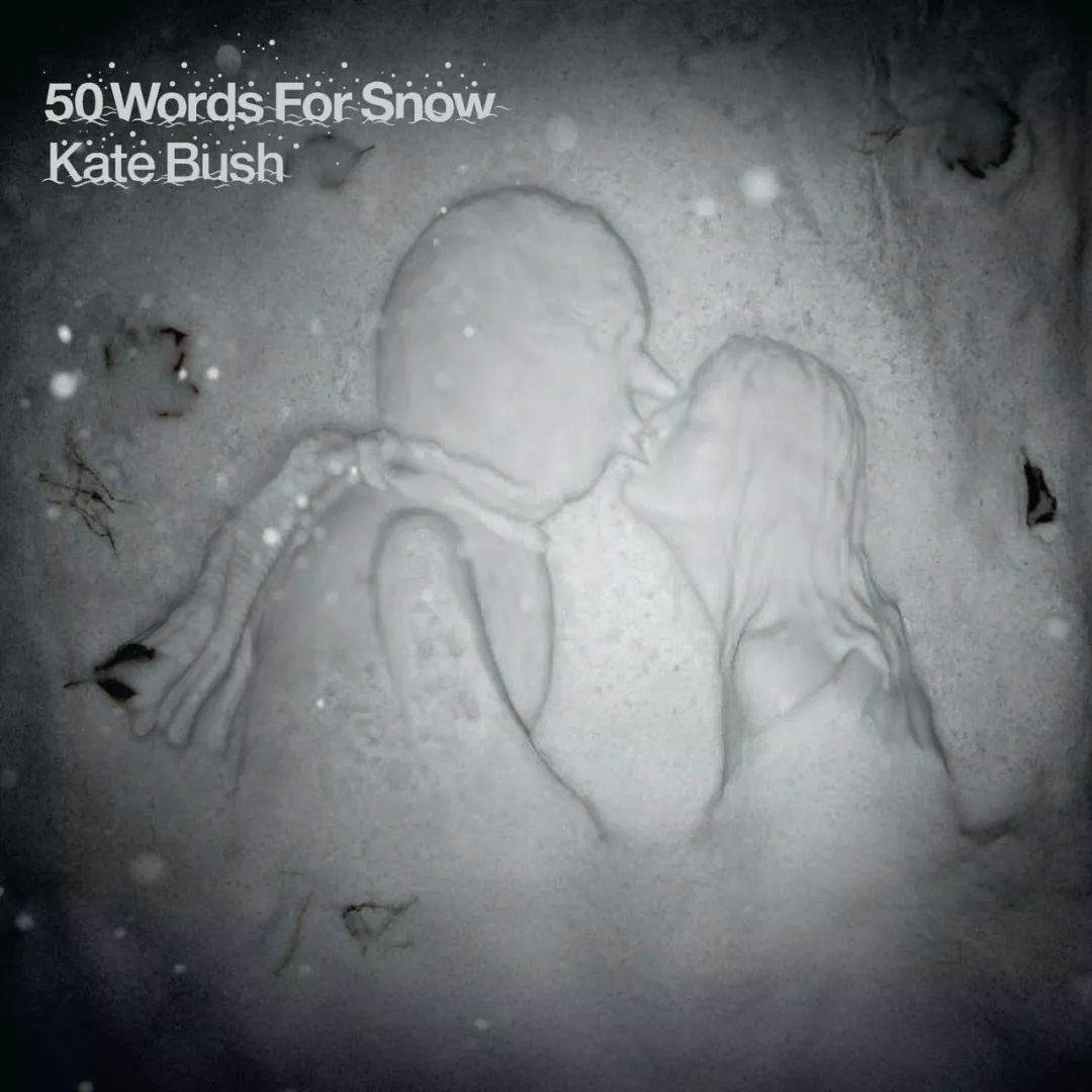 搬运译Pitchfork评10年代200张最佳专辑第191名：Kate Bush 50 Words for Snow(2011 哔哩哔哩