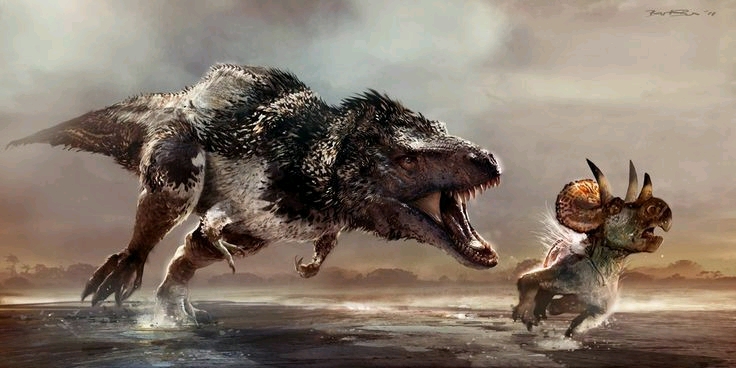 雌霸王龙是女王大人?——讨论下t-rex的两性大小