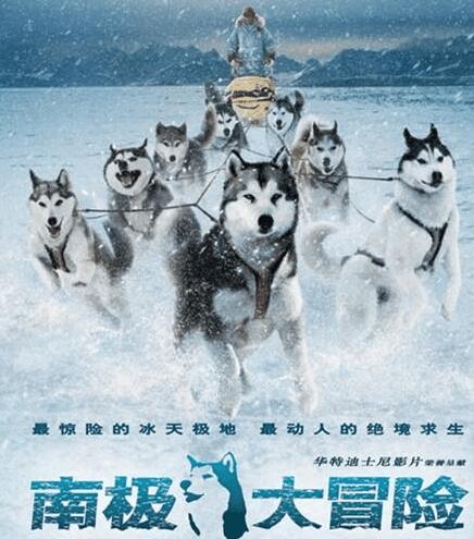 主角是狗,却感动无数人的电影,爱狗人士必看电影