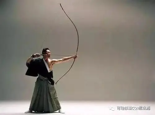 奶牛带你玩射箭 一 弓的种类介绍 哔哩哔哩