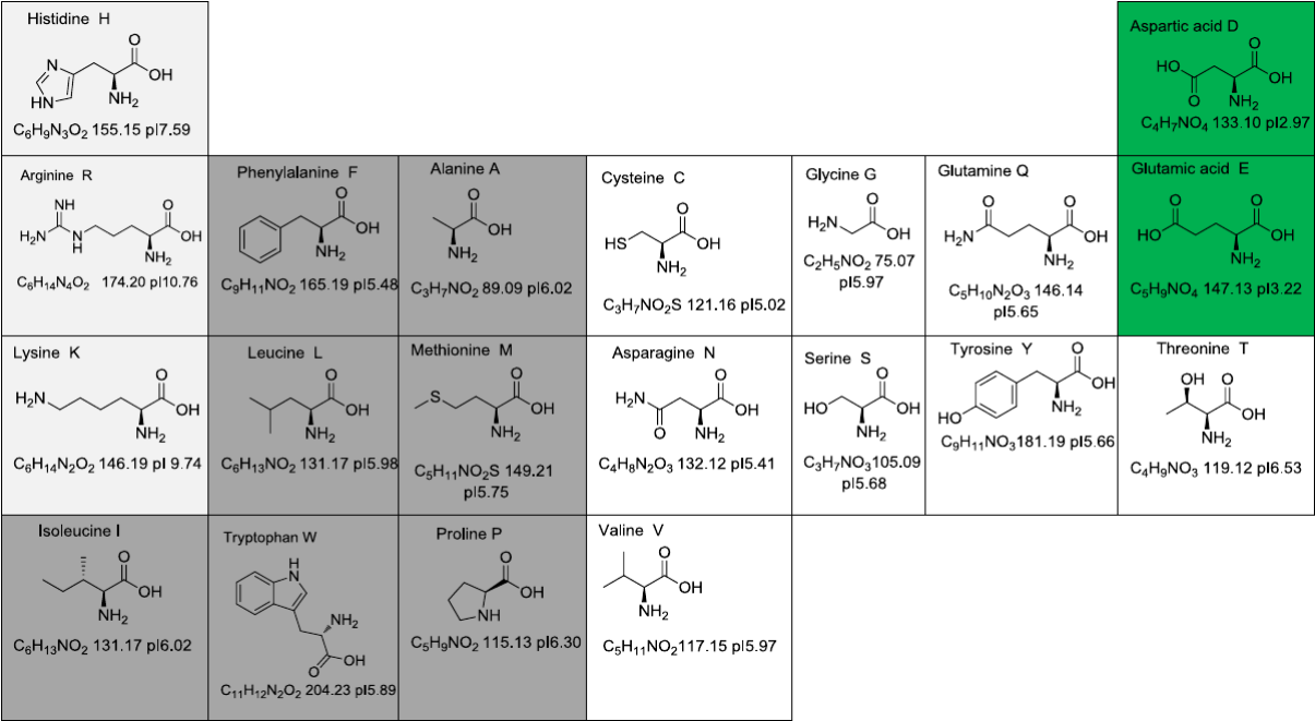 氨基酸分子式结构简式图片