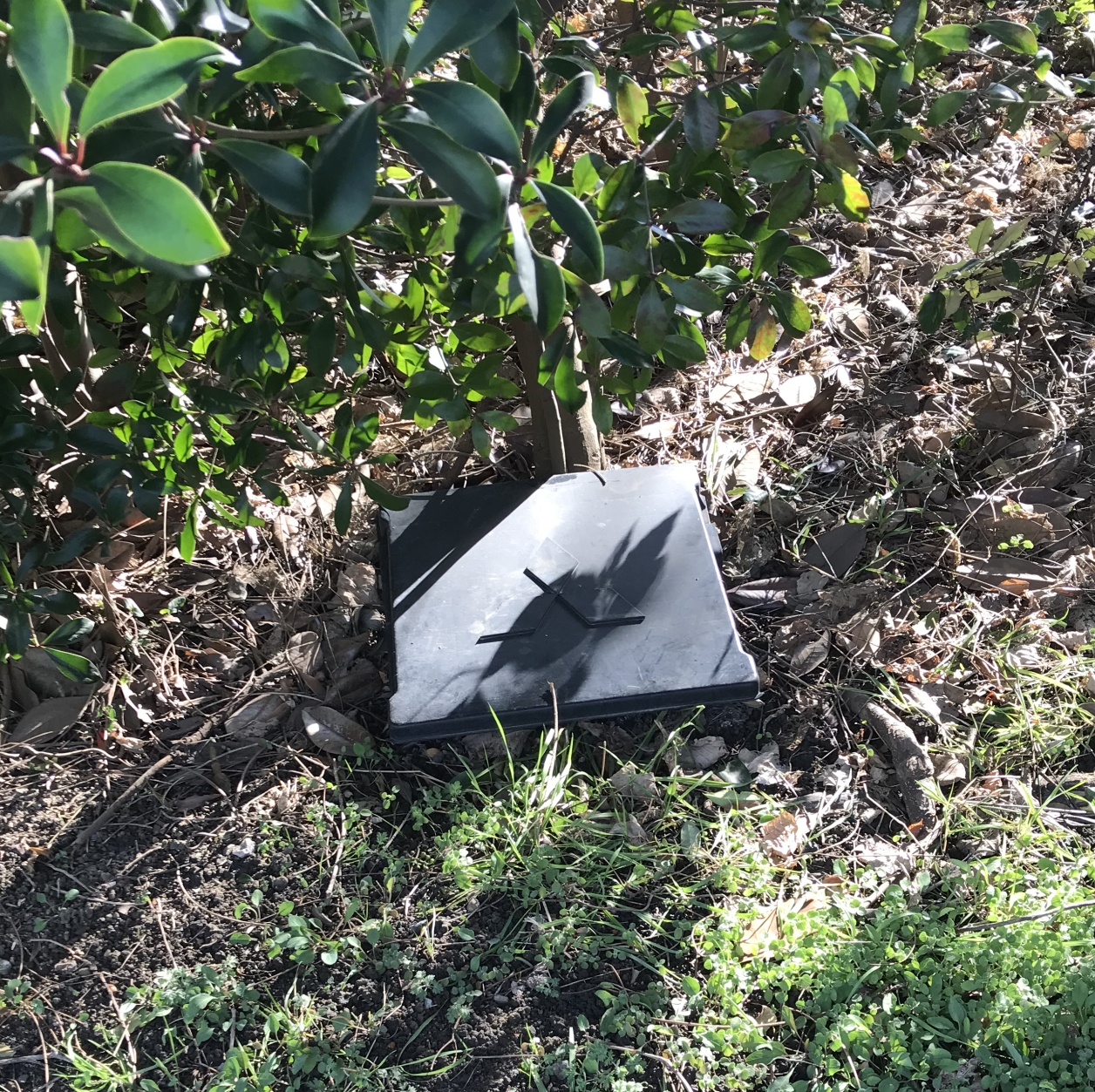 寻访消失的军舰--平成31年 「军舰防波堤」行记