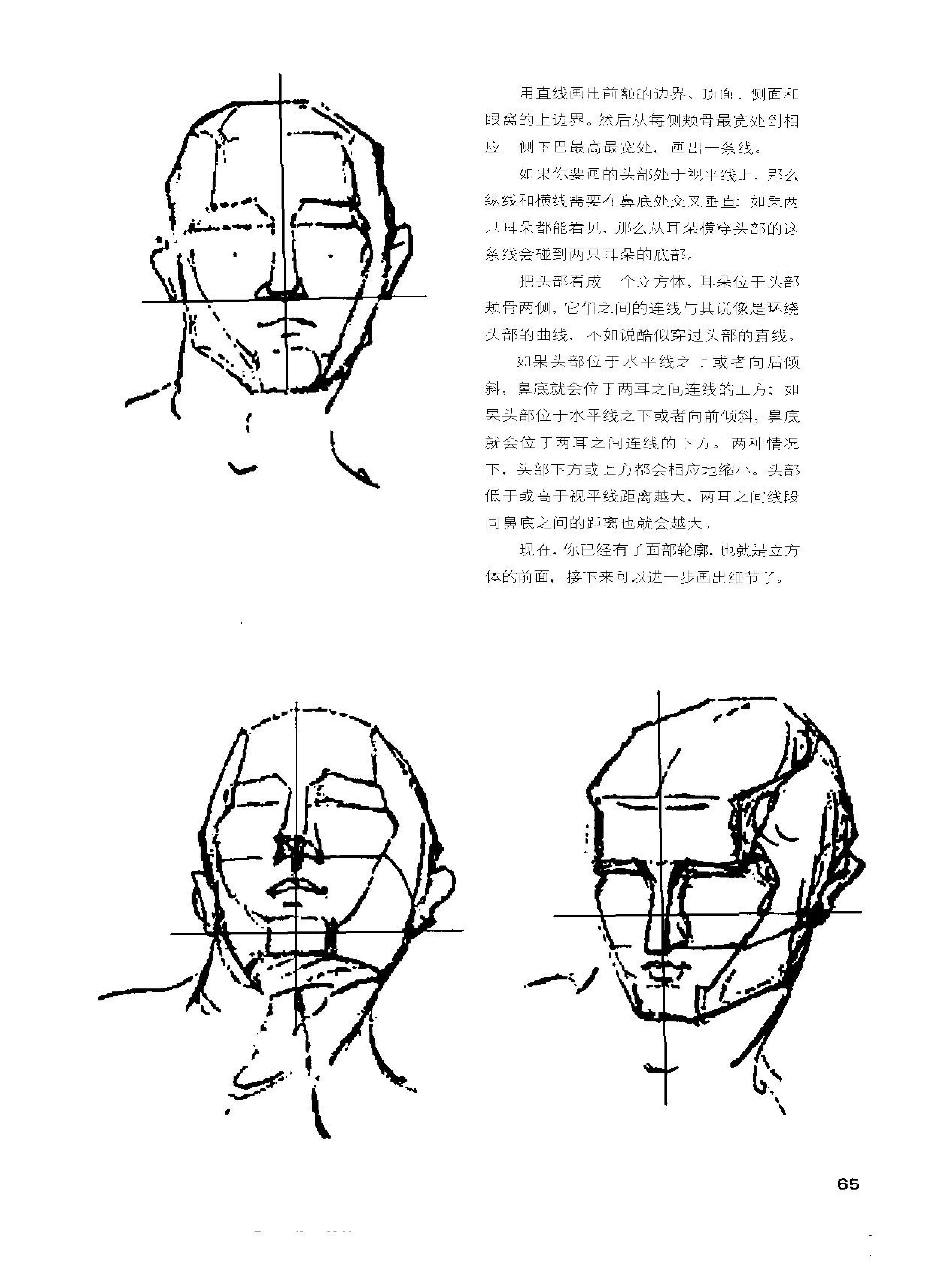 伯里曼人物结构 身体图片