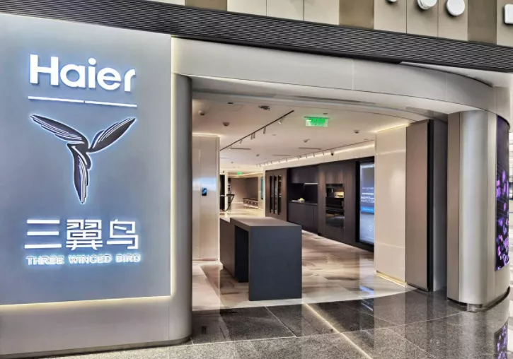 生活 时尚 半年报里的三翼鸟:场景发力,生态收入增