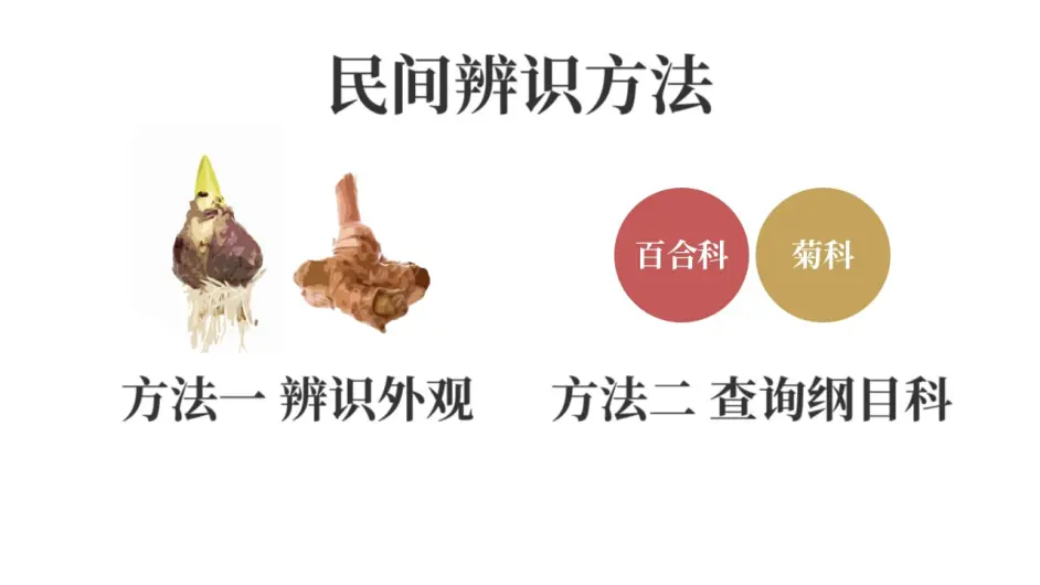 对猫有毒的植物 下篇 常见植物如何查询是否有毒 文字版 哔哩哔哩