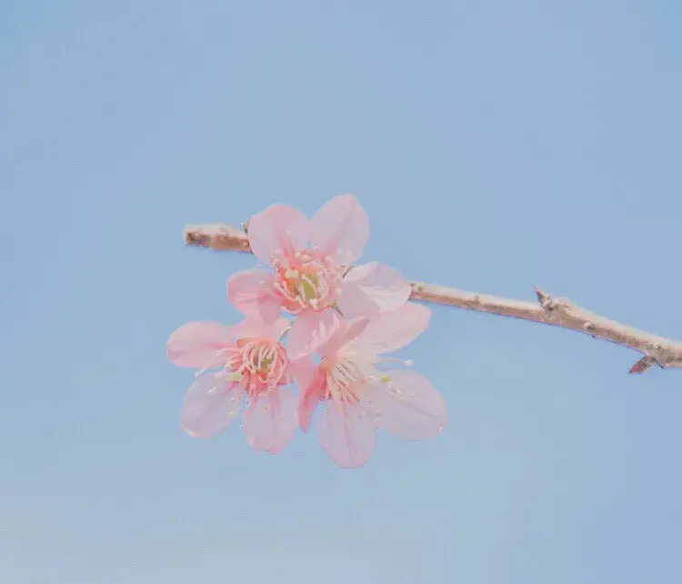木土合相水瓶0度 十二星座21年好运密码之天秤座 哔哩哔哩