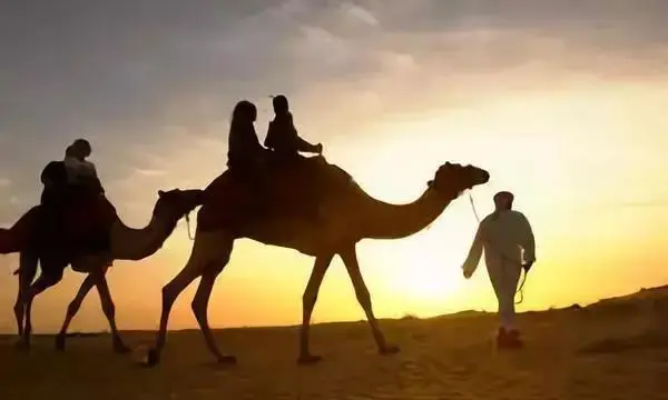 震惊了 日语中 ら行 开头的词汇竟然都是 外来语 哔哩哔哩